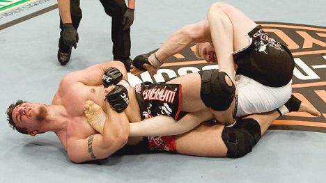 mma_mir_lesnar1_576