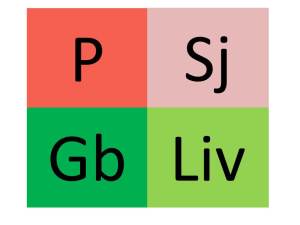 p-sj-gb-liv tmm