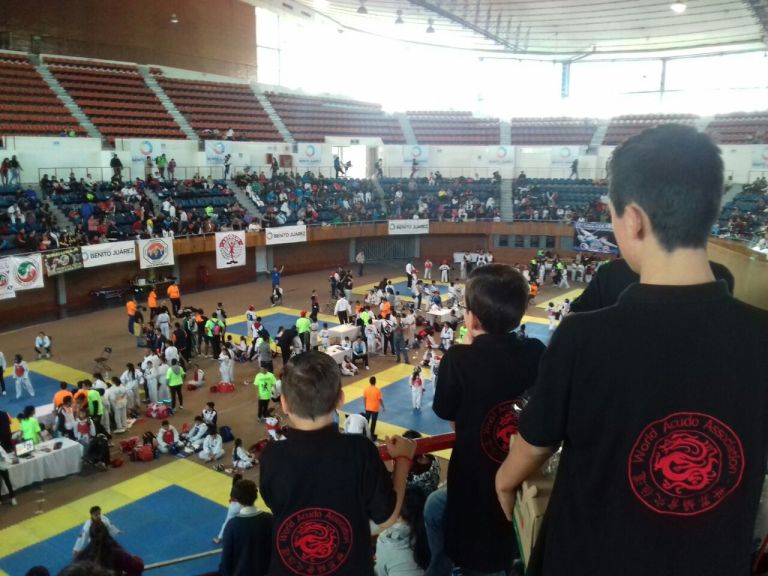 9816b838-d311-44c1-b037-06064298e735